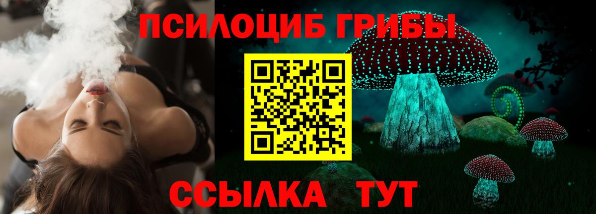 Галлюциногенные грибы Psilocybine cubensis  Галлюциногенные грибы Psilocybine cubensis  Элиста  Вход с VPN 